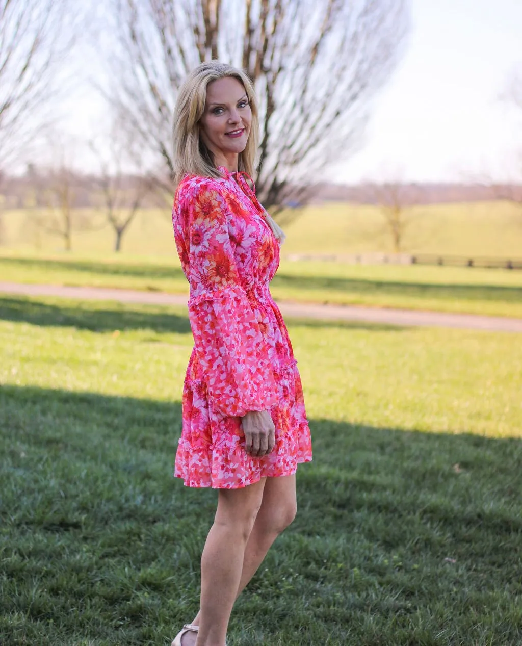 Rosy Chic Dress